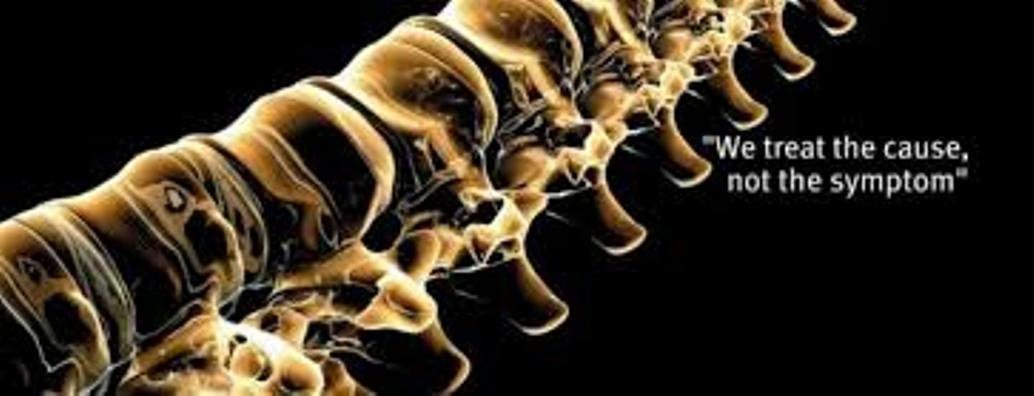 Meraki in Motion Wellness Centre. - Meraki in Motion Wellness Centre.