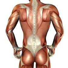 Meraki in Motion Wellness Centre. - Meraki in Motion Wellness Centre.