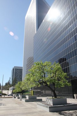 Michael Wasemiller, DDS - Michael Wasemiller, DDS