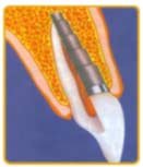 Modern Smile Dental Center, Pacific Park Robinson (Sriracha) Branch - Modern Smile Dental Center, Pacific Park Robinson (Sriracha) Branch