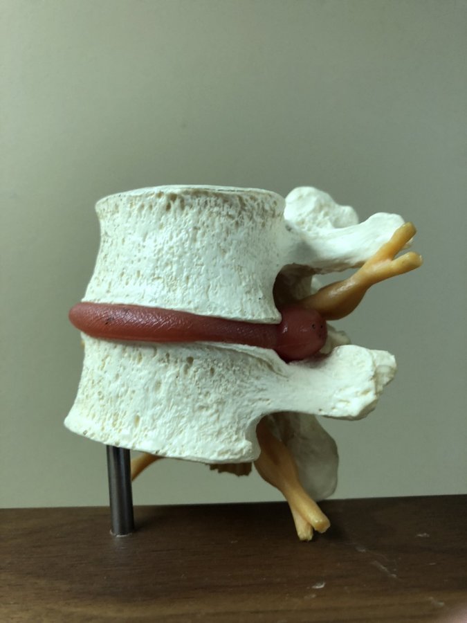 Montgomery County Chiropractic Center - Montgomery County Chiropractic Center