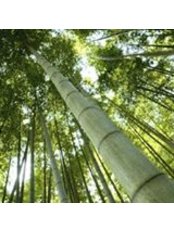 Moyleabbey Balancing Clinic - Moyleabbey Balancing Clinic