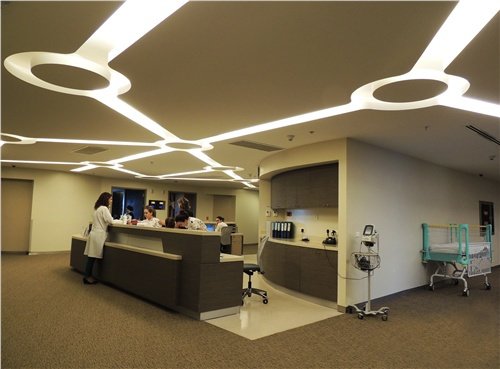 زراعة الشعر Mv - Mv Hair Transplant