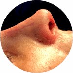 My Face - Coimbra - My Face - Coimbra