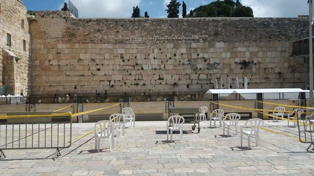 Nadezhda Womens Health Hospital - Nadezhda Womens Health Hospital