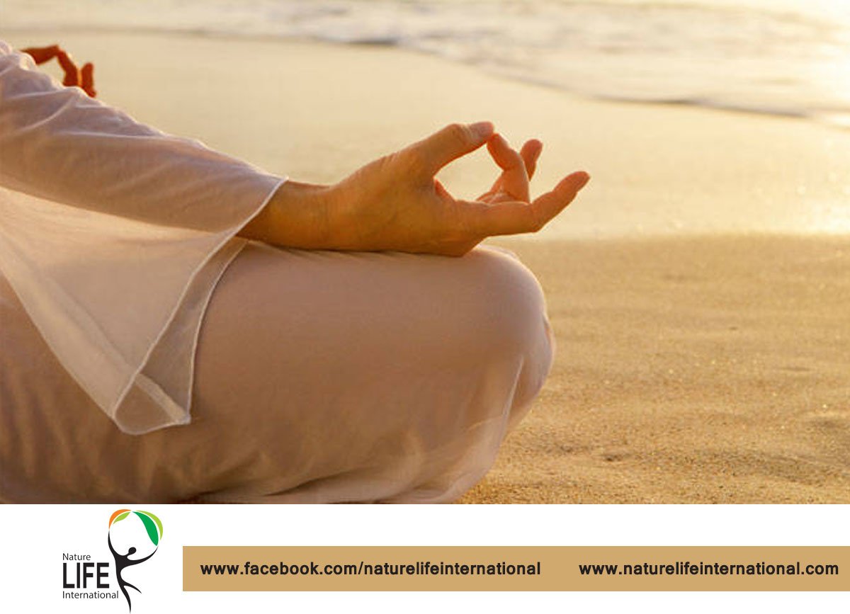 Nature Life International - Nature Life International