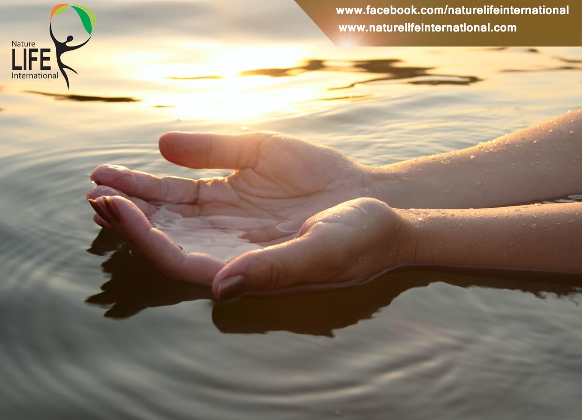 Nature Life International - Nature Life International