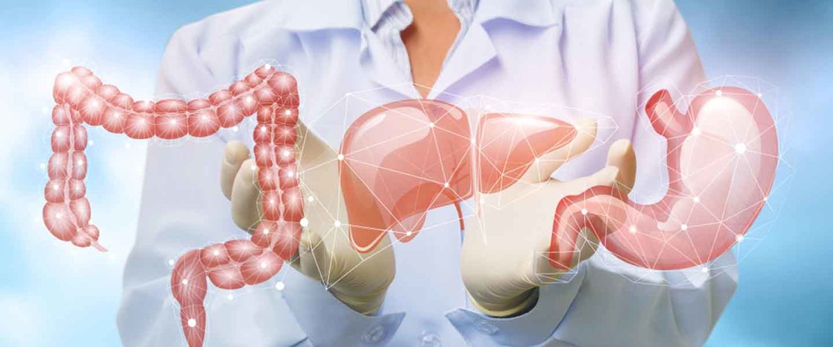 Near East University Hospital - Near East University Hospital