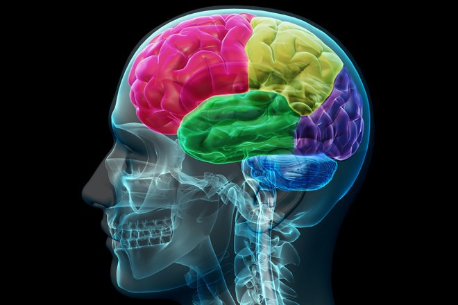Neurosurgery clinic - Neurosurgery clinic