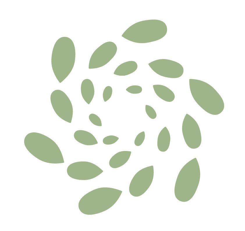 Northern Centre of Integrative and Functional Medicine (NCIFM) - Northern Centre of Integrative and Functional Medicine (NCIFM)