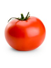Nutrition Science - Nutrition Science