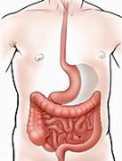 جراحي السمنة المكسيك - ميغيل أليمان - Obesity Surgeons México - Miguel Alemán
