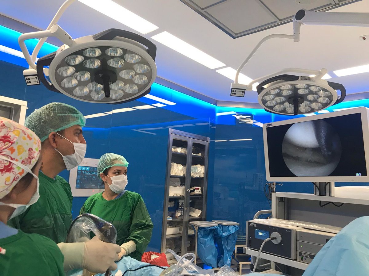 Onv Ortho - Onv Ortho