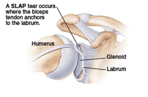 Orthopaedic Speciality Clinic - Orthopaedic Speciality Clinic
