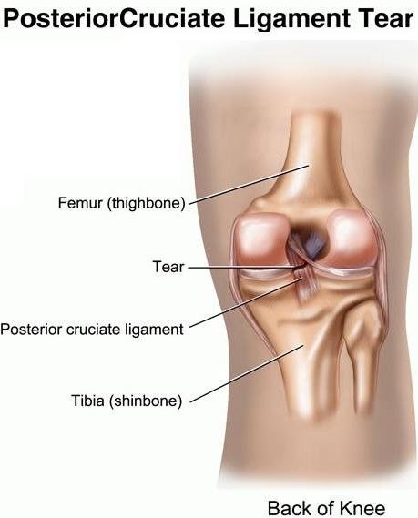 Orthopaedic Speciality Clinic - Orthopaedic Speciality Clinic