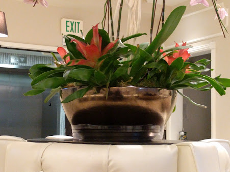 Pacific Fertility Center Los Angeles - Pacific Fertility Center Los Angeles