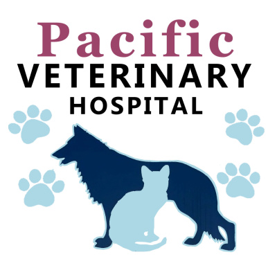 Pacific Veterinary Hospital - pacific vet care