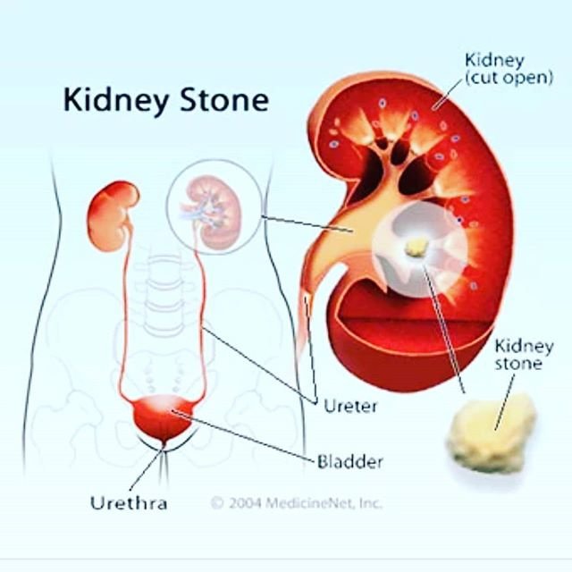 padmaja hospital - padmaja hospital