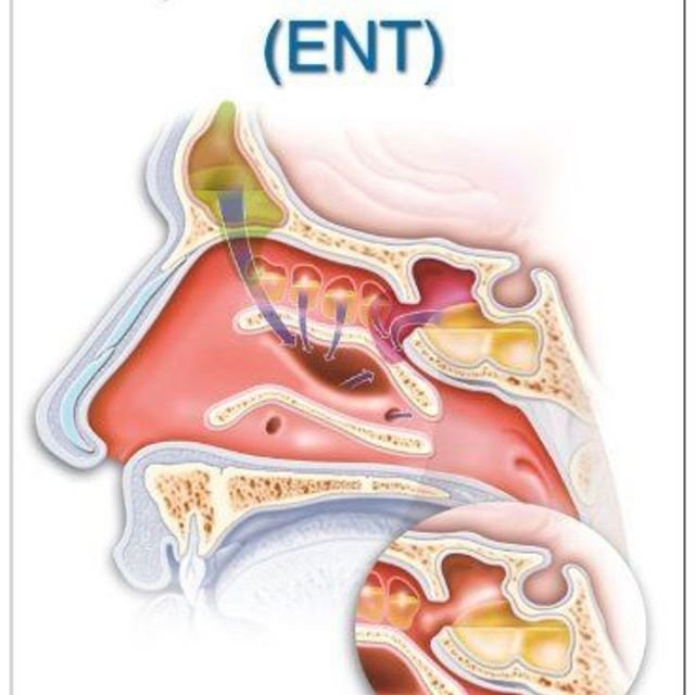 padmaja hospital - padmaja hospital