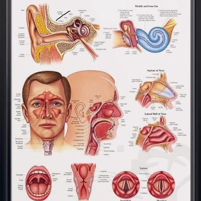 padmaja hospital - padmaja hospital