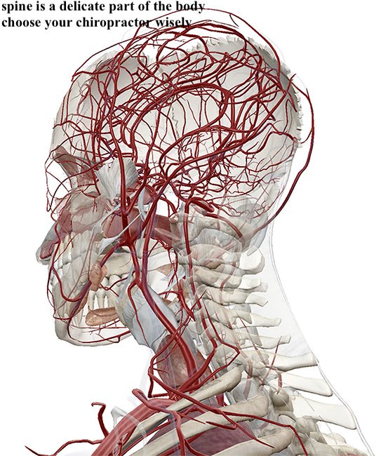 Painflame Physiotherapy - Painflame Physiotherapy