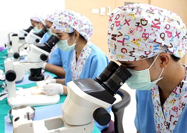 Paisit Hair Clinic - Paisit Hair Clinic