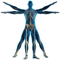 PC Physiotherapy, Acupuncture and Sports Injury Clinic - PC Physiotherapy, Acupuncture and Sports Injury Clinic
