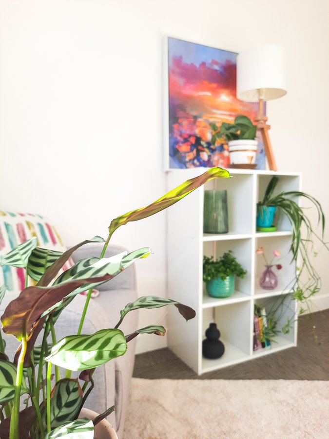 Peace Inside - Peace Inside