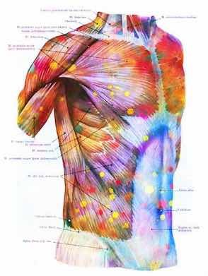 Physiotherapy Barnsley by Peter Hartley - Physiotherapy Barnsley by Peter Hartley
