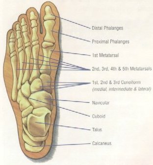 Pieter Roos - Pieter Roos