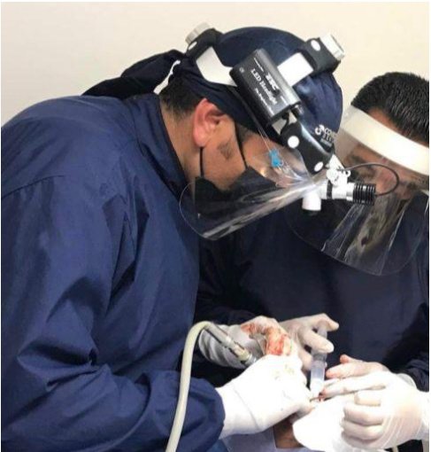 Point Dental - Point Dental