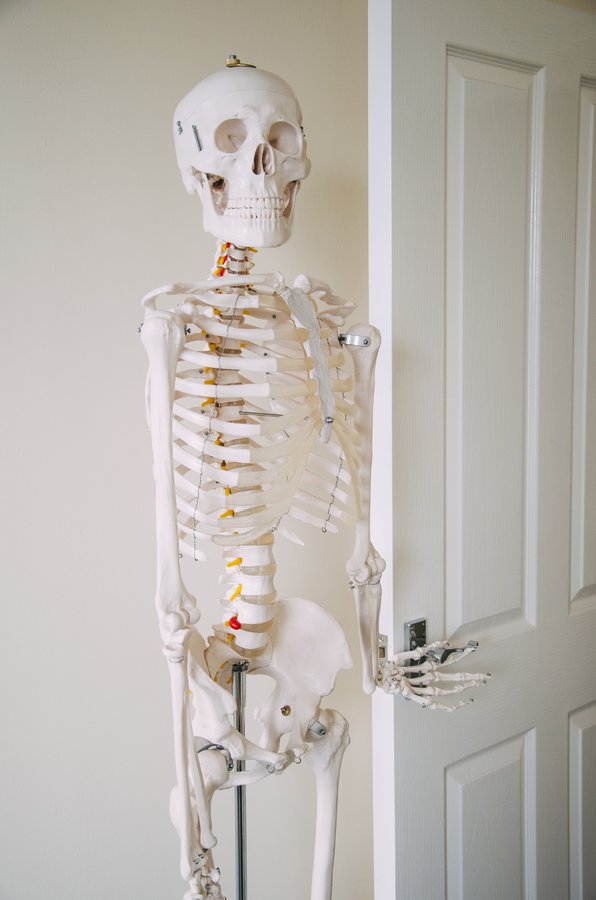 Portland Chiropractic Clinic - Portland Chiropractic Clinic