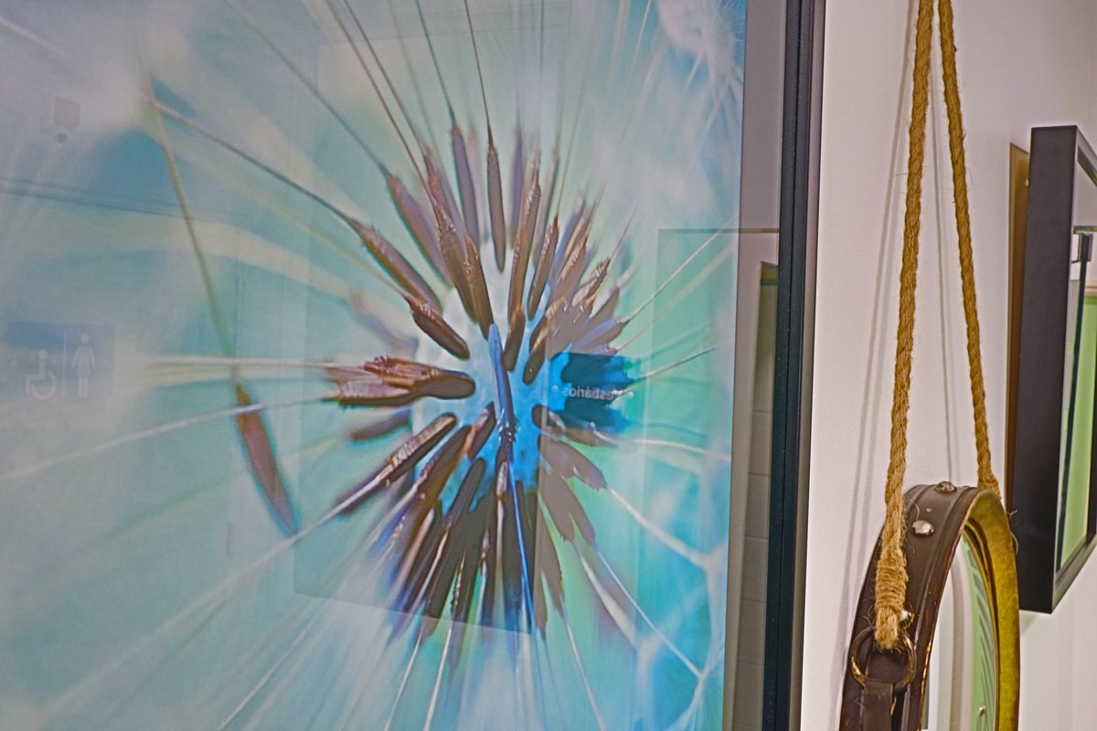 Previdente Clinica Dentaria Unipessoal - Previdente Clinica Dentaria Unipessoal