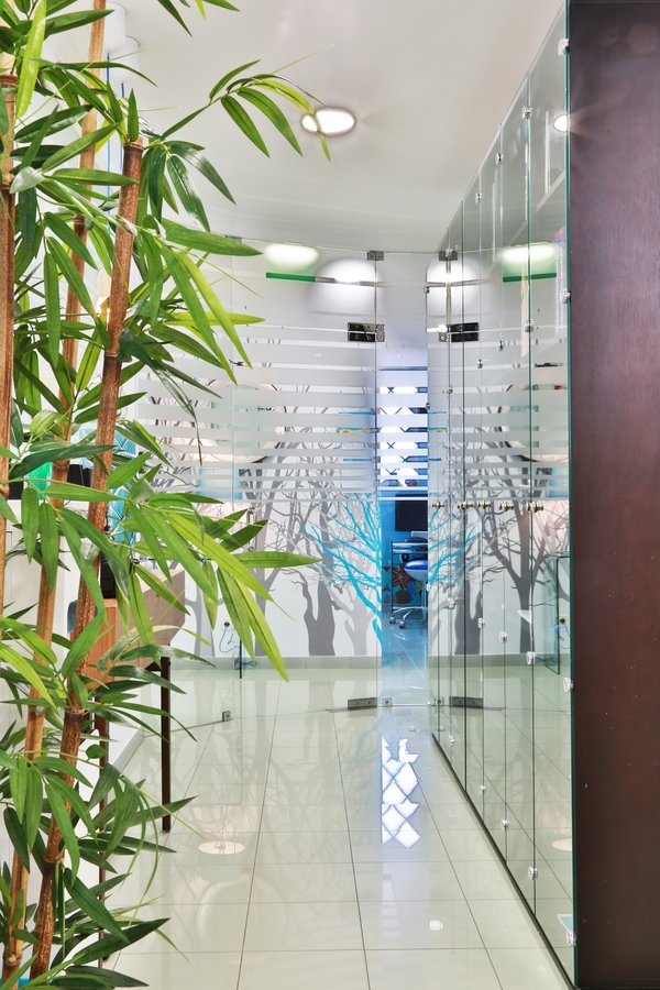 Previdente Clinica Dentaria Unipessoal - Previdente Clinica Dentaria Unipessoal