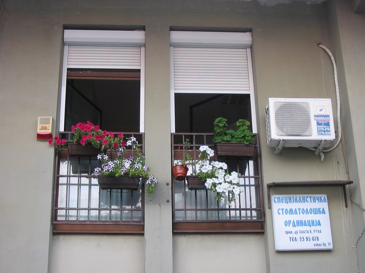 Prim dr Zlata Rula - Prim dr Zlata Rula