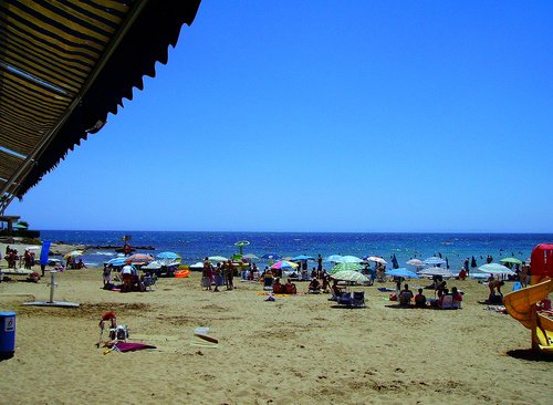 Pro Dental Care - Pro Dental Care