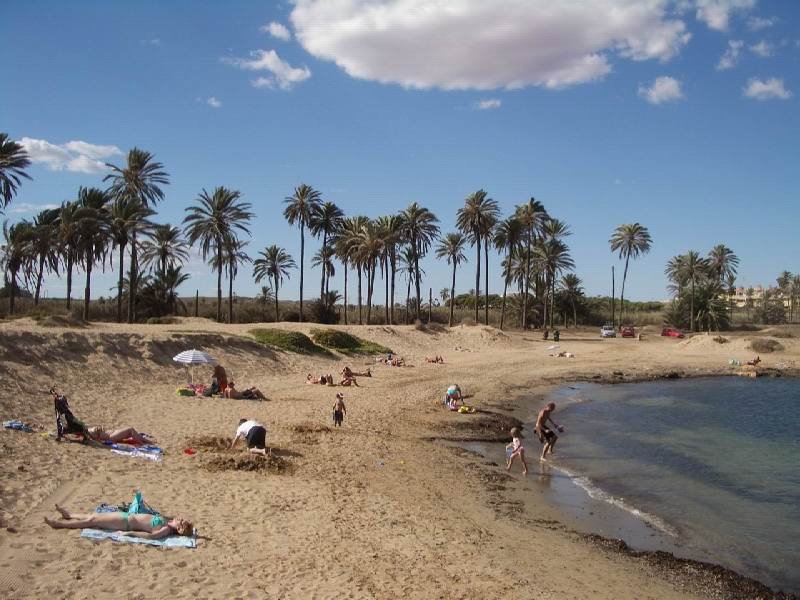 Pro Dental Care - Pro Dental Care