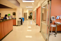 Pro Spine & Pain - Pro Spine & Pain