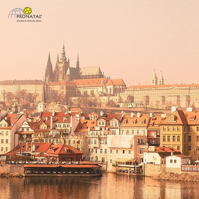 PRONATAL Plus - PRONATAL Plus