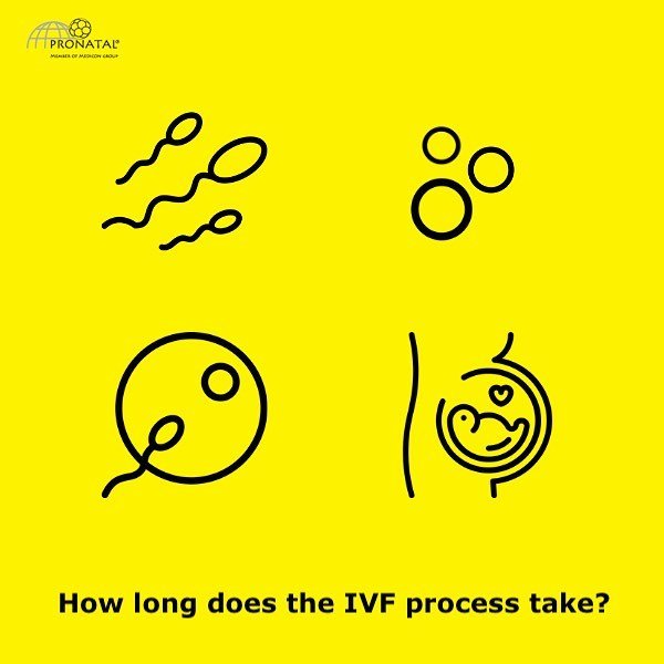 PRONATAL Plus - PRONATAL Plus