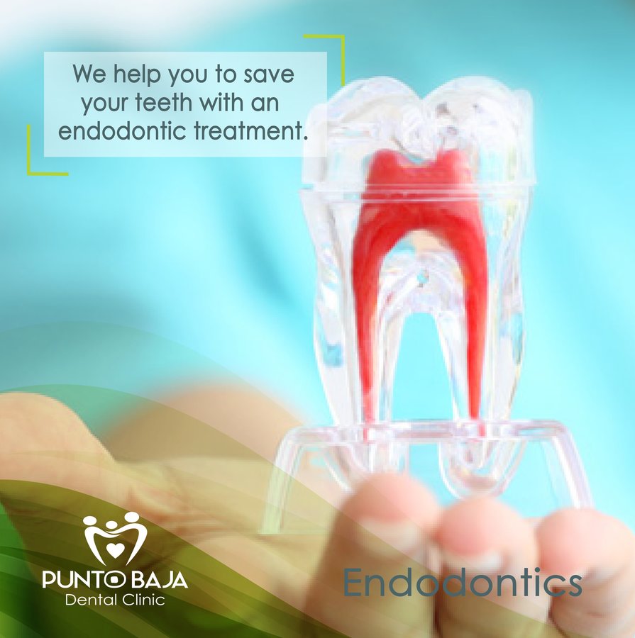 Punto Baja Dental Clinic - Punto Baja Dental Clinic
