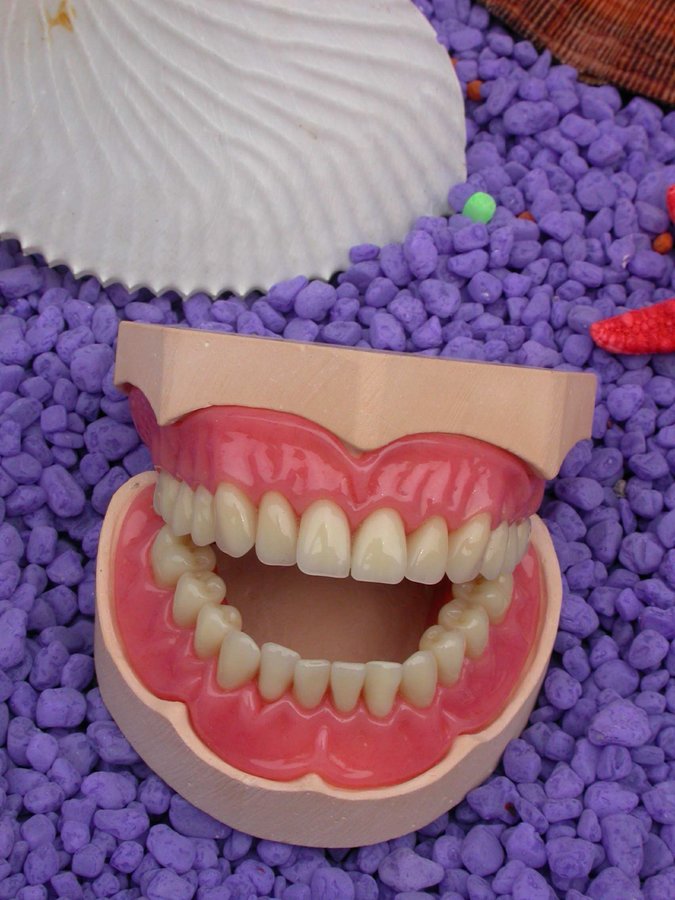 Rajaprabhu العناية بالأسنان - Rajaprabhu Dental Care