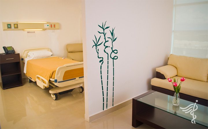 Renew Cancun - Renew Cancun