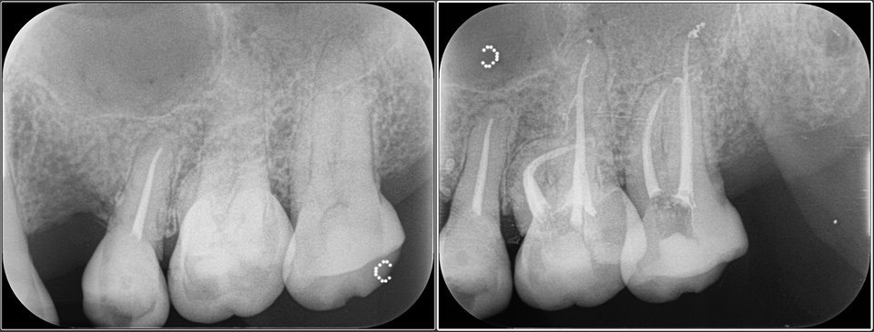 Sachi Multispecality Dental Hospital and Implant Center - Sachi Multispecality Dental Hospital and Implant Center
