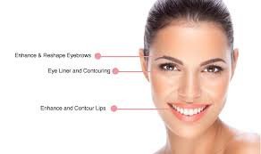 Sassy Chic Permanent Makeup - Sassy Chic Permanent Makeup