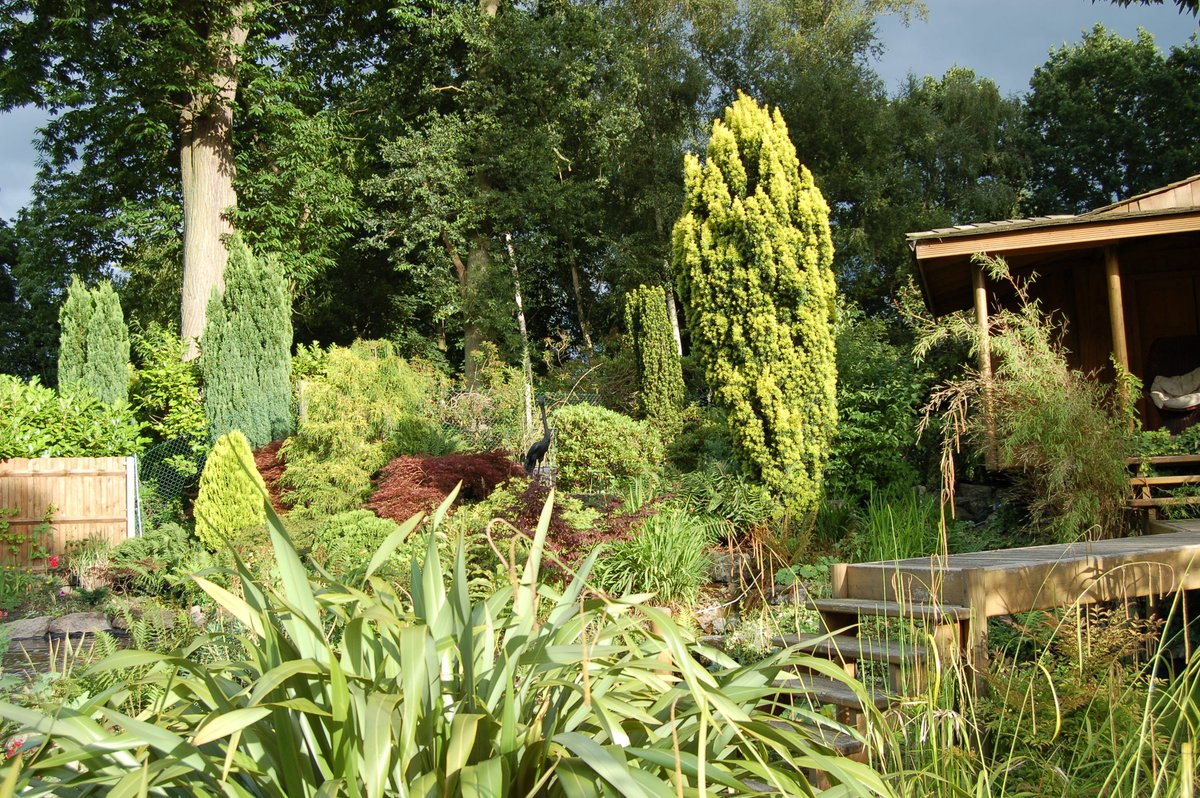 Scorpio Clinics - Scorpio Clinics