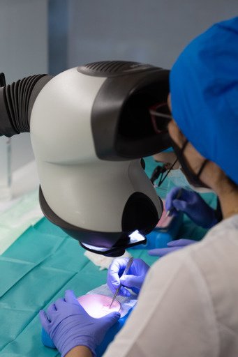 Seneca Hair Transplant - Thessaloniki - Seneca Hair Transplant - Thessaloniki