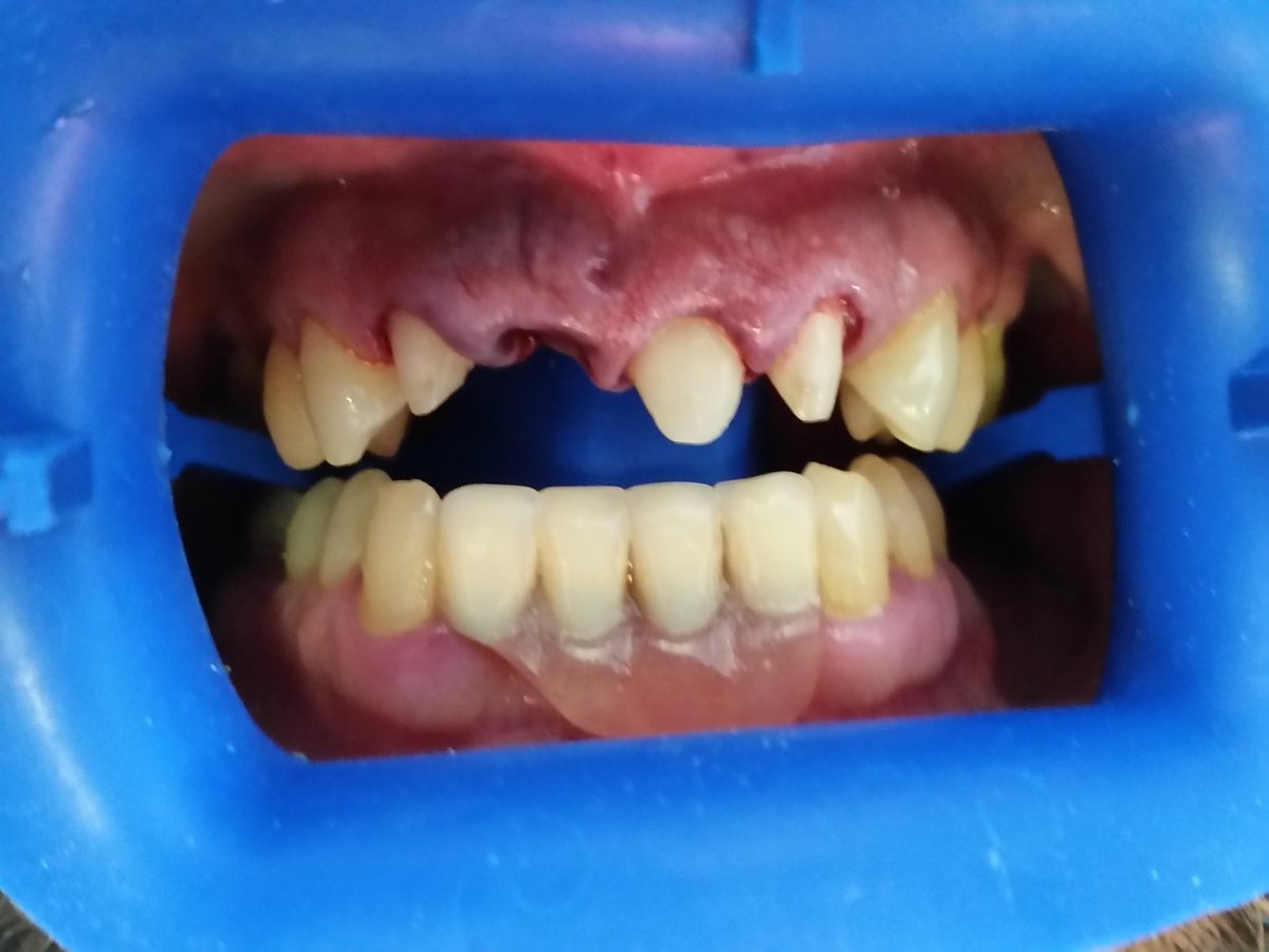 SG Dental Clinic - SG Dental Clinic