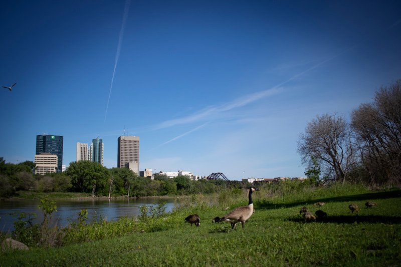 Shine Dental - Main Street - Shine Dental - Main Street