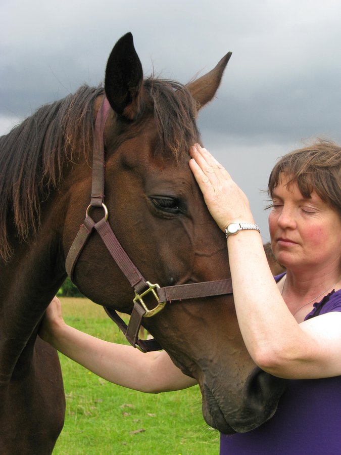 مشرقة الشفاء الخفيفة - Shining Light Healing